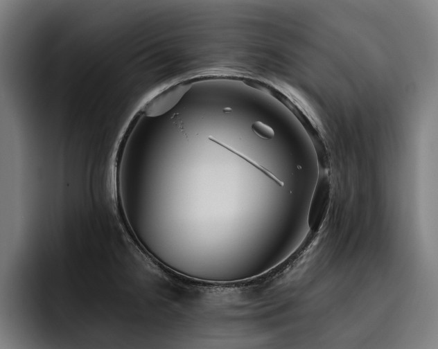 X0000093531238200710121553
