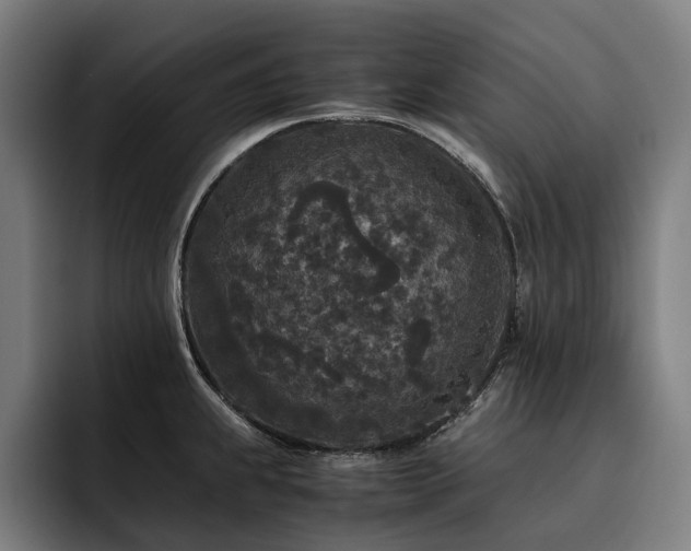 X0000093531239200710121553