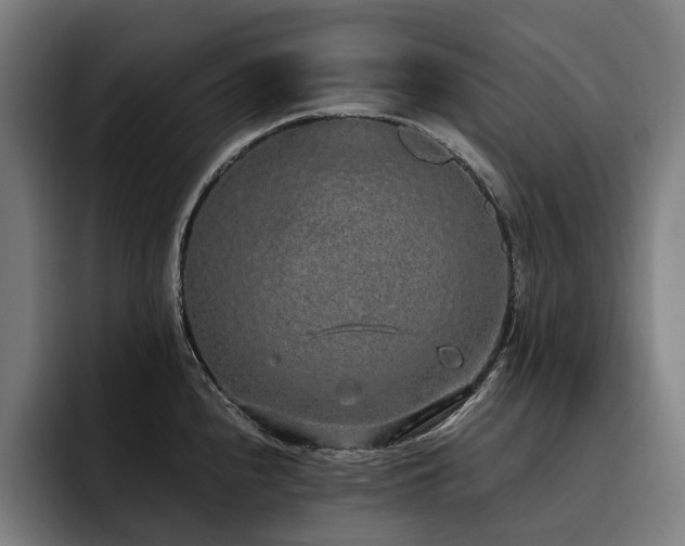 X0000093531240200710121553