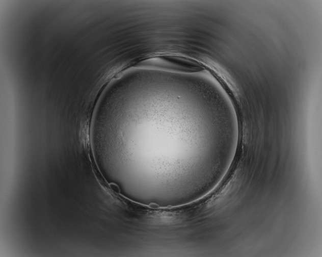 X0000093531241200710121553