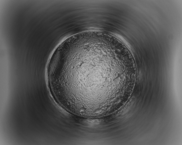 X0000093531243200710121553