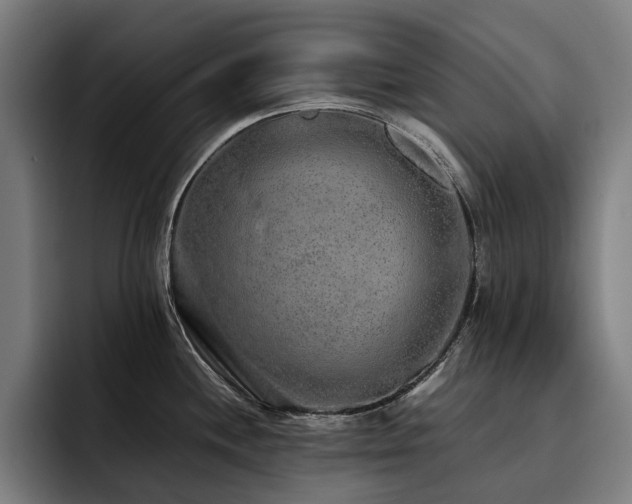 X0000093531244200710121553