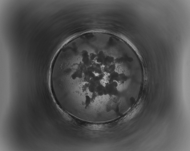 X0000093531245200710121553