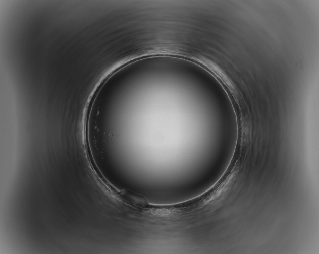 X0000093531246200710121553