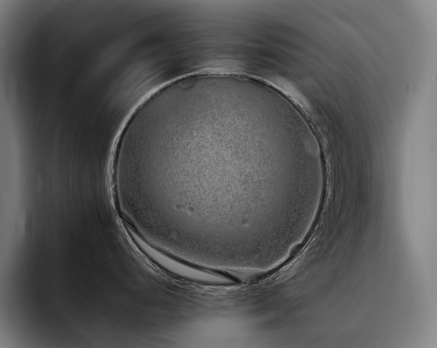 X0000093531248200710121553