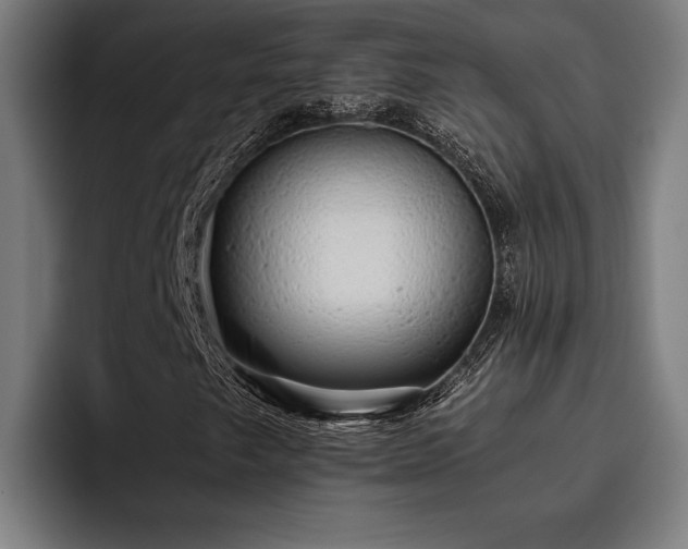 X0000093531249200710121553