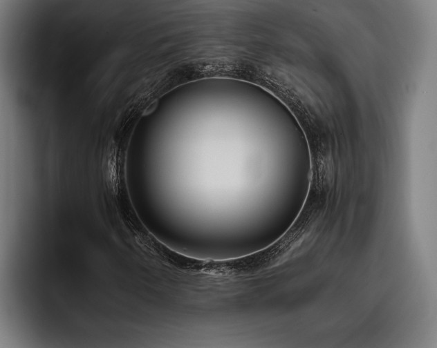 X0000093531250200710121553