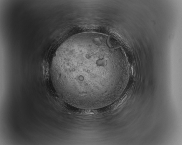X0000093531251200710121553