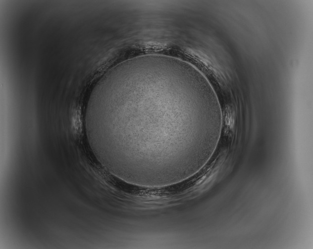 X0000093531252200710121553