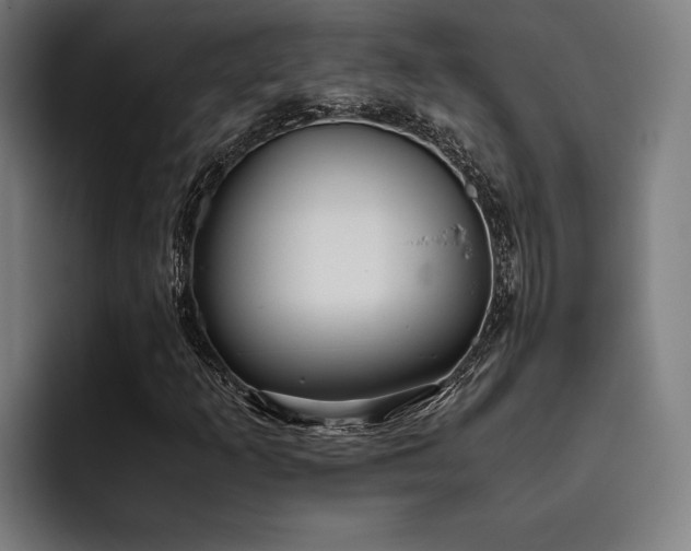 X0000093531253200710121553