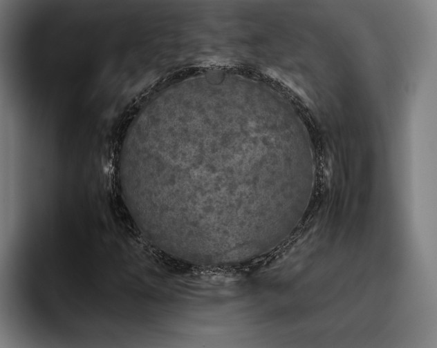 X0000093531254200710121553