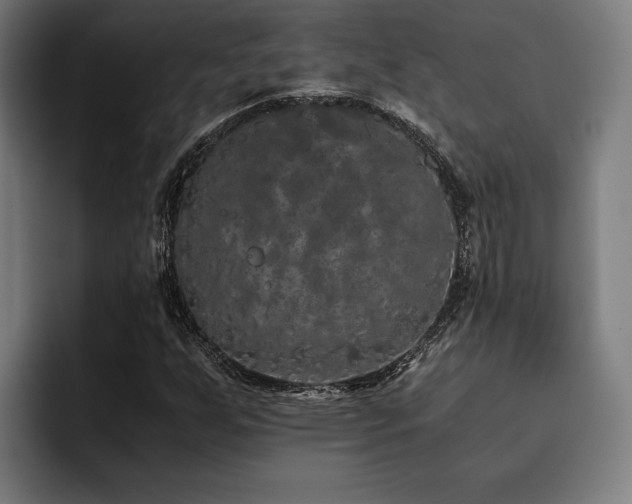 X0000093531255200710121553