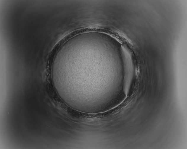 X0000093531256200710121553