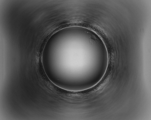 X0000093531257200710121553