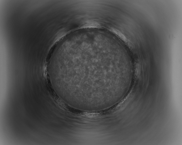X0000093531258200710121553