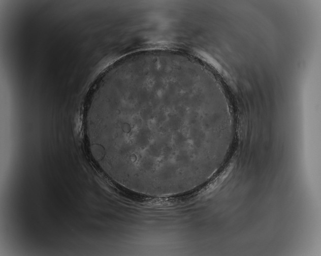 X0000093531259200710121553