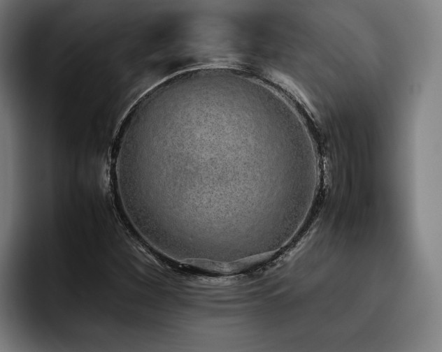 X0000093531260200710121553