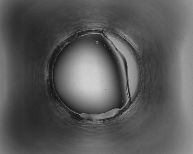 X0000093531261200710121553