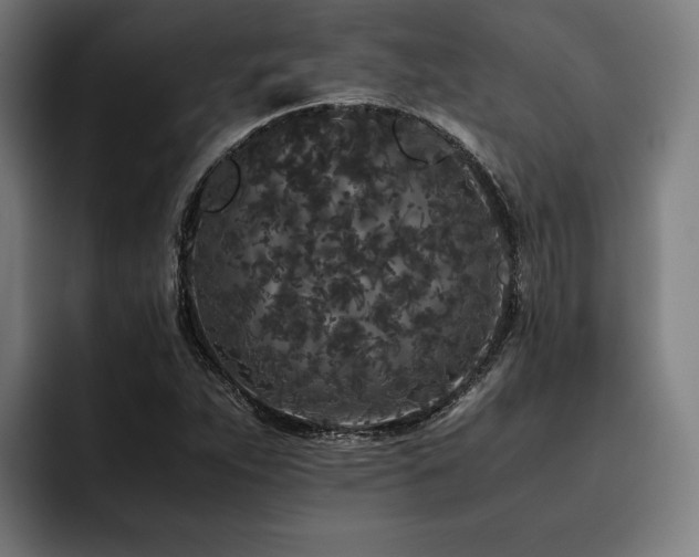 X0000093531263200710121553
