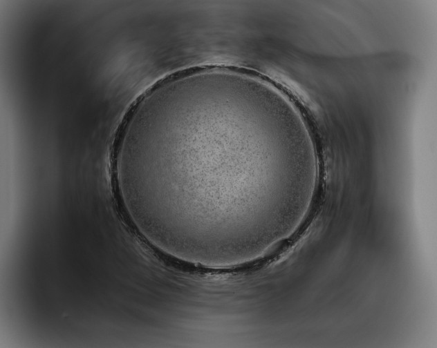 X0000093531264200710121553