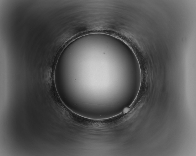 X0000093531265200710121553