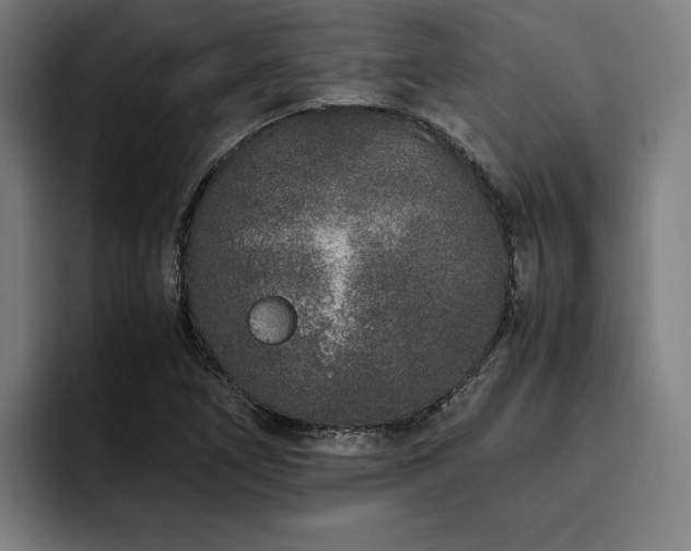 X0000093531266200710121553
