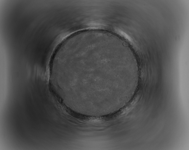 X0000093531267200710121553