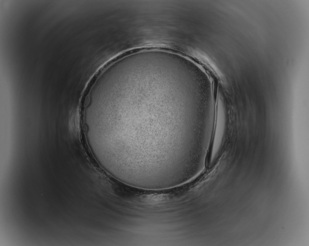 X0000093531268200710121553