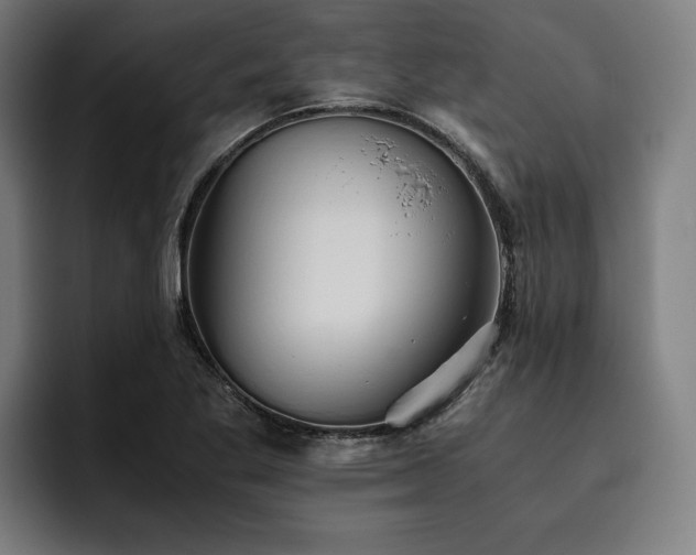 X0000093531269200710121553