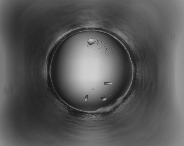 X0000093531270200710121553