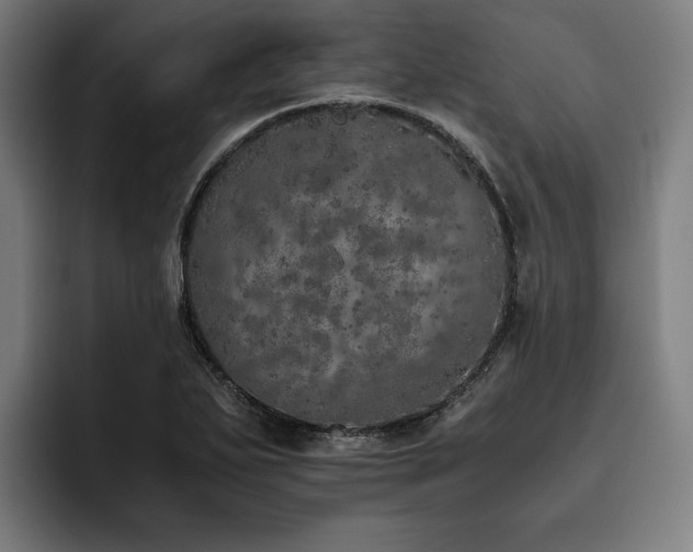 X0000093531271200710121553