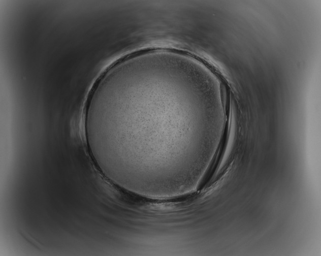 X0000093531272200710121553