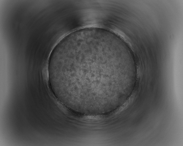X0000093531274200710121553