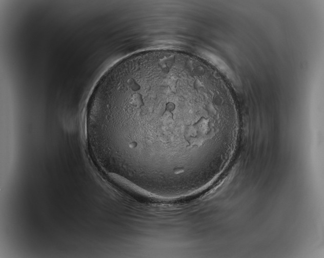 X0000093531275200710121553