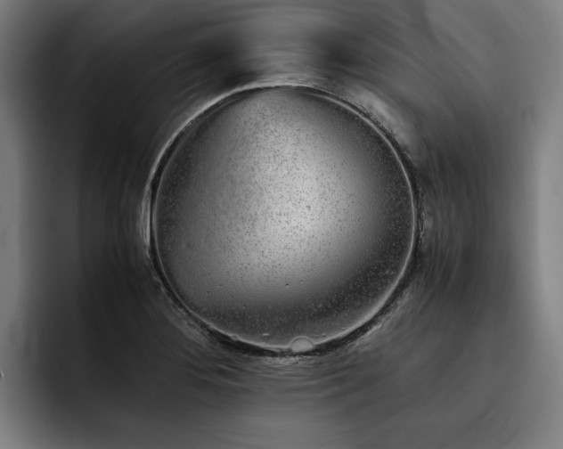 X0000093531276200710121553