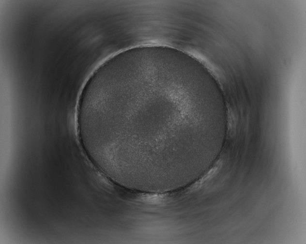 X0000093531278200710121552