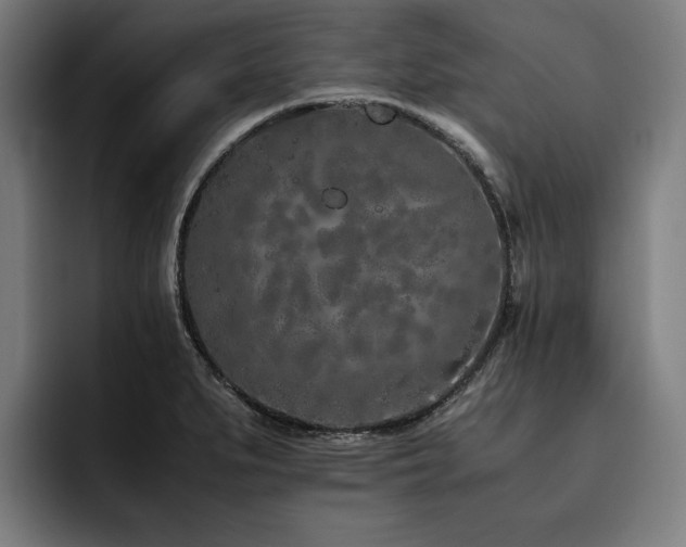 X0000093531279200710121552
