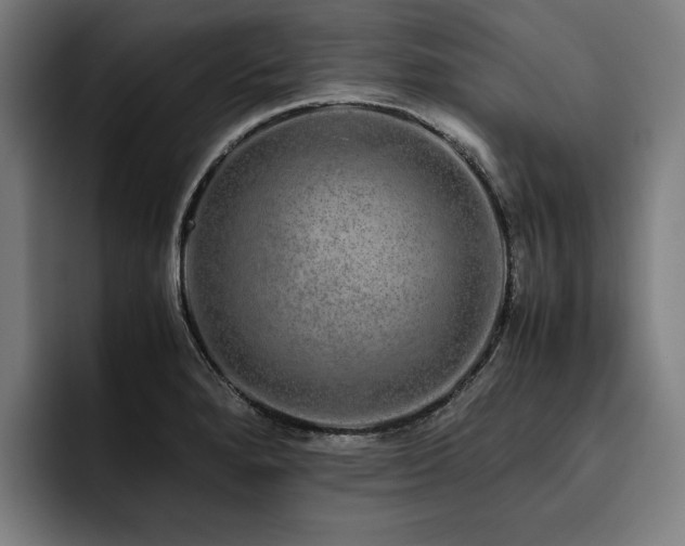X0000093531280200710121552
