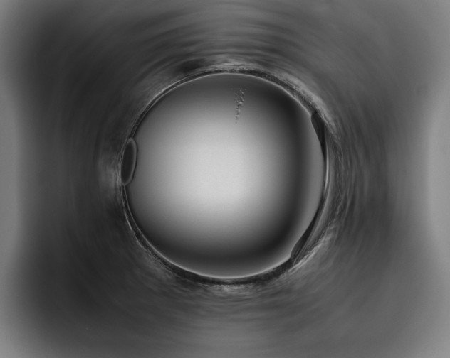 X0000093531281200710121552