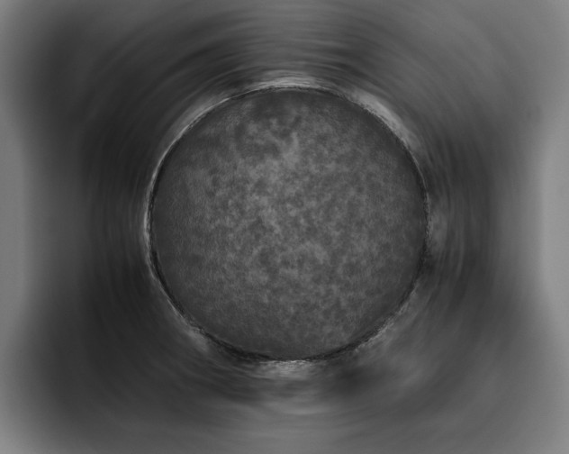 X0000093531282200710121552