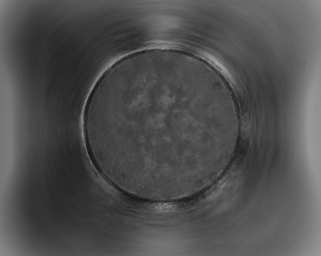 X0000093531283200710121552