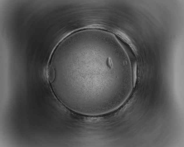X0000093531284200710121552