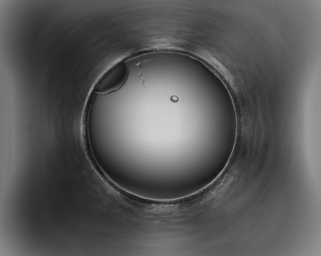 X0000093531285200710121552