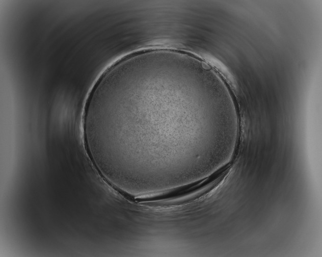 X0000093531288200710121552