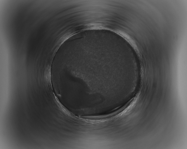 X0000093531289200710121552