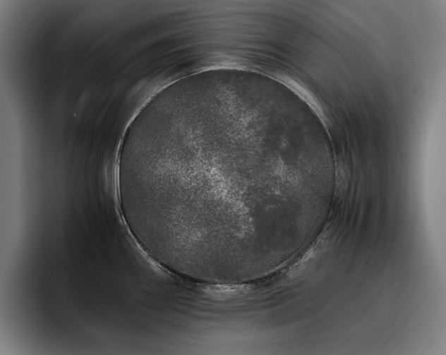 X0000093531290200710121552