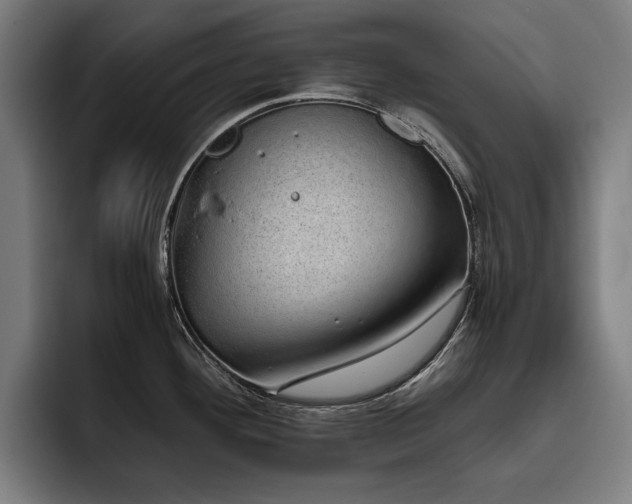 X0000093531292200710121552