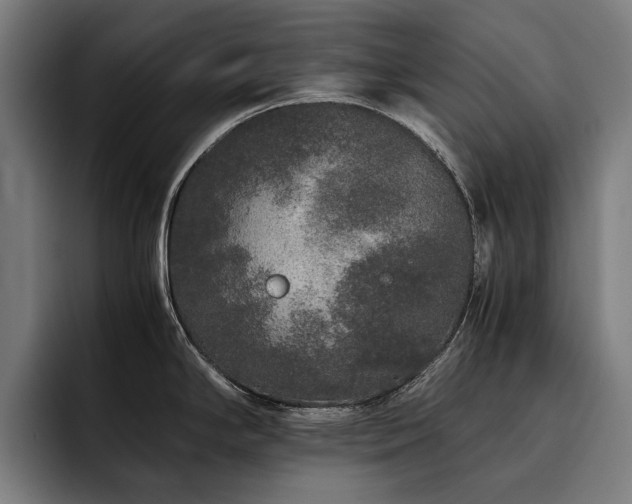 X0000093531294200710121552