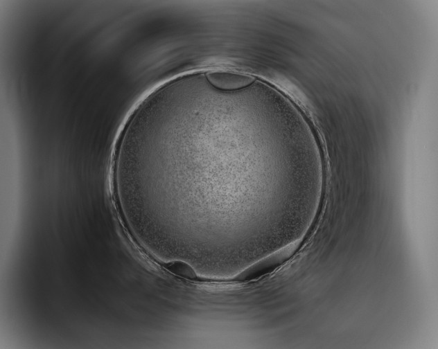 X0000093531296200710121552