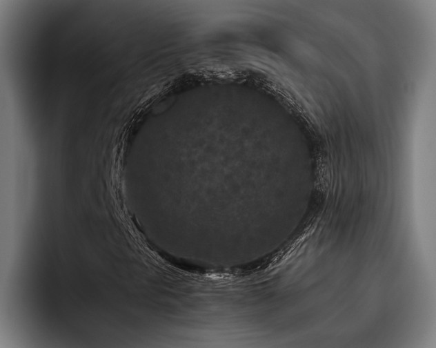 X0000093531297200710121552
